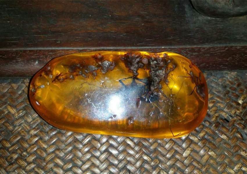 红松脂琥珀拍卖现在什么价格
