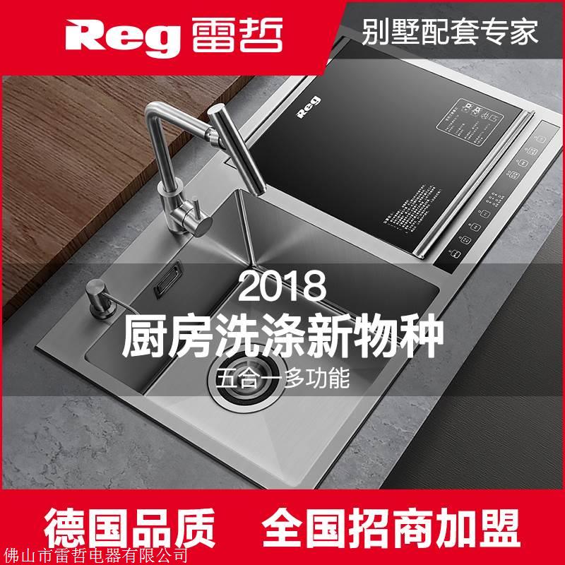 品牌 佛山市雷哲电器有限公司 型号 x10 材质 不锈钢 款式 双盆 安装