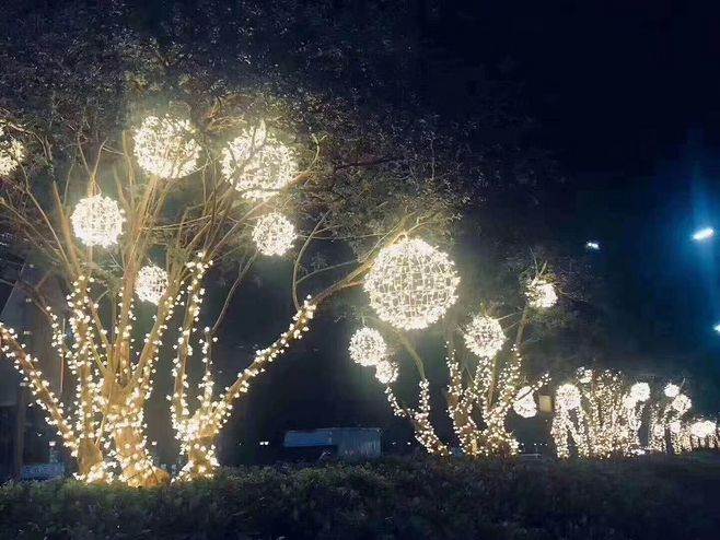亮化树缠绕灯厂家 树木夜景亮化挂树木装饰灯条