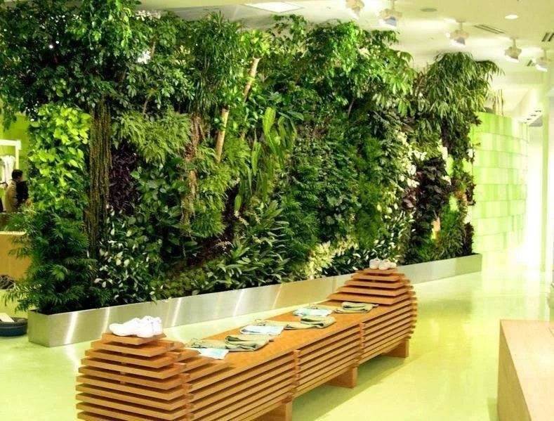 西安绿植墙 室内办公绿植 植物墙垂直绿化 绿植墙体