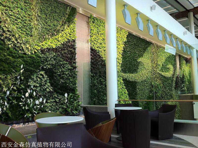 西安绿植墙室内垂直绿化植物墙高级绿植墙墙面绿植装饰