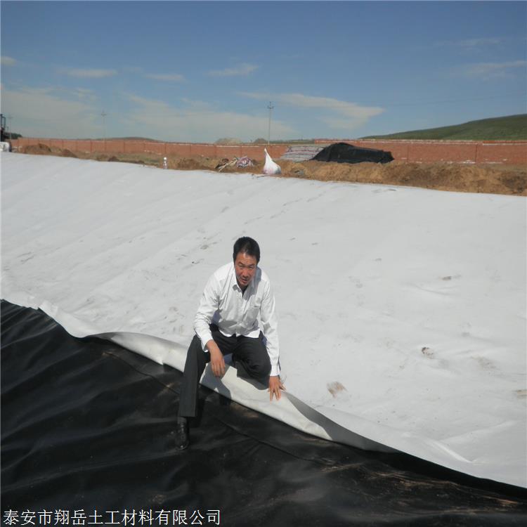 庆阳土工膜防渗防渗膜施工方案垃圾卫生填埋场中常用的hdpe土工膜其