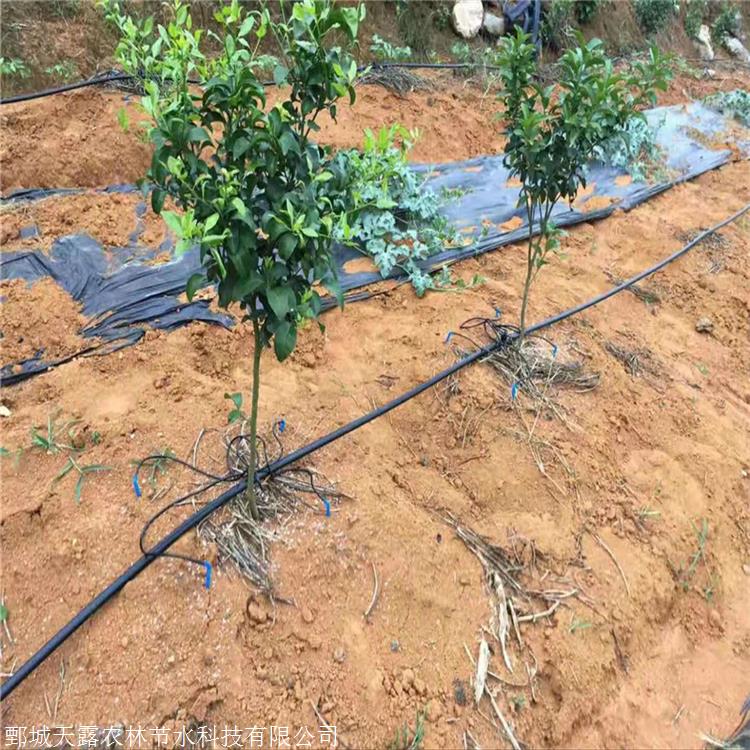 芜湖果树节水灌溉设备 水肥一体化灌溉设备 厂家直销