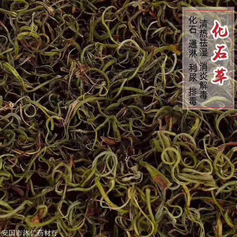 石韦使用禁忌 多少钱一斤