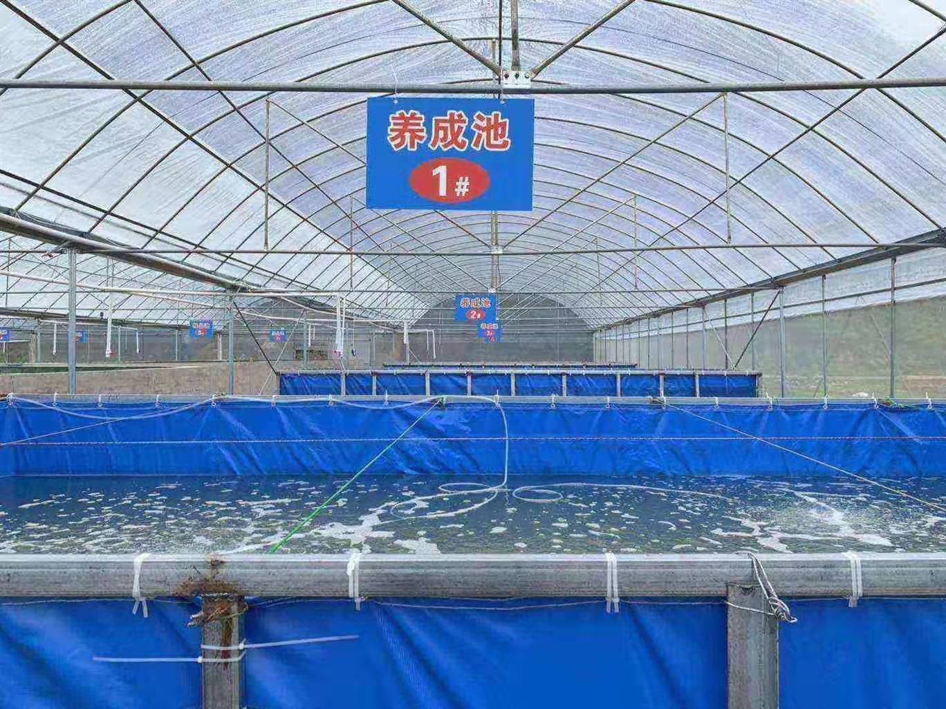 水产养殖场专用帆布室内户外养殖鱼池支架安装养虾篷布水池