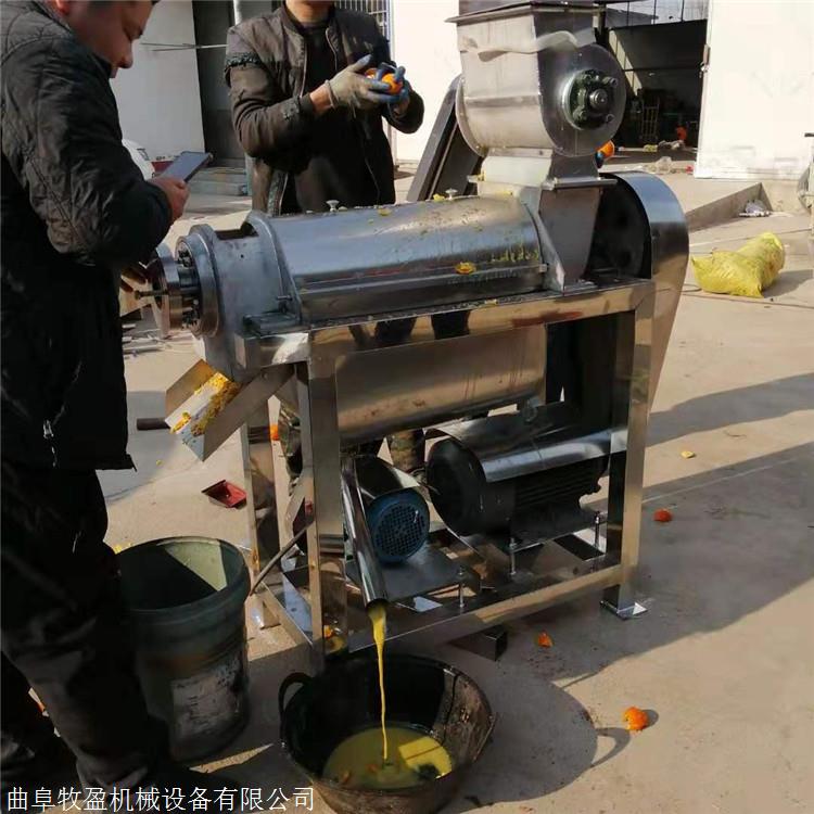 黄杏果脯脱水挤水机 大型水果螺旋榨汁机 商用水果打浆机