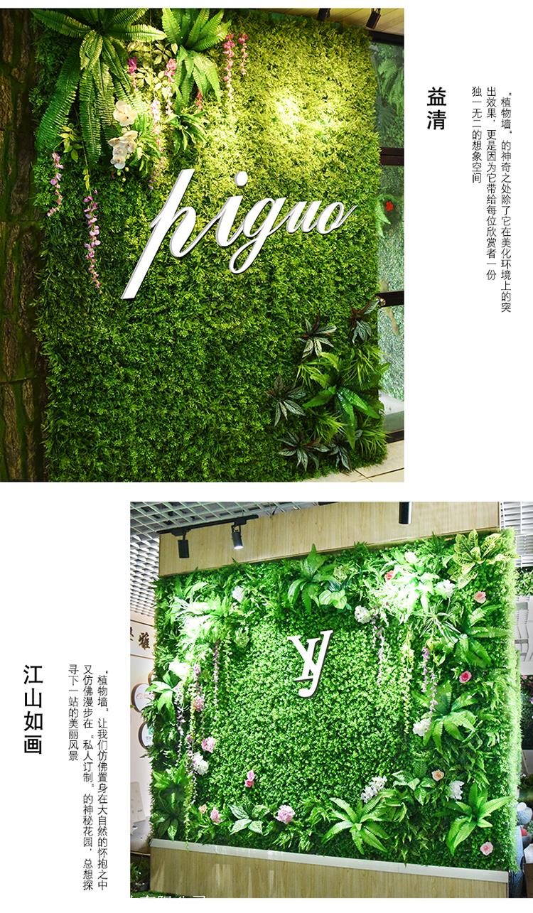 深圳室内植物墙