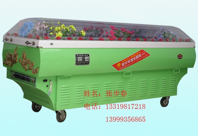 豪华低温水晶棺冷藏棺太平柜纸棺冷藏柜