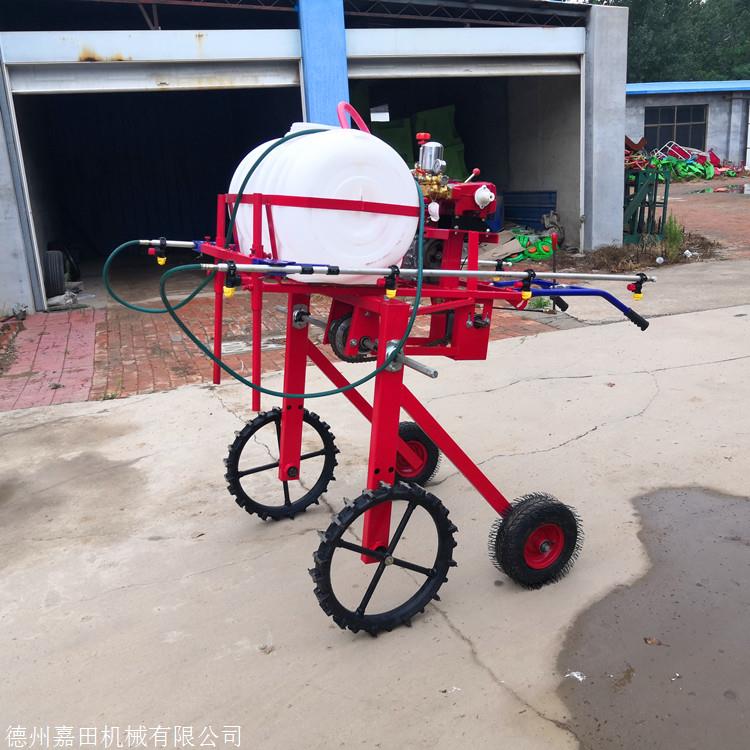 小型家用多功能打药机 自走式高效率农作物打药机
