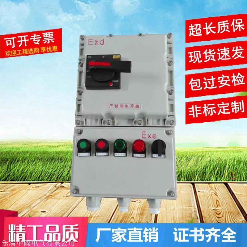双电源防爆配电箱消防应急照明自动切换1备1用水泵风机开关控制柜