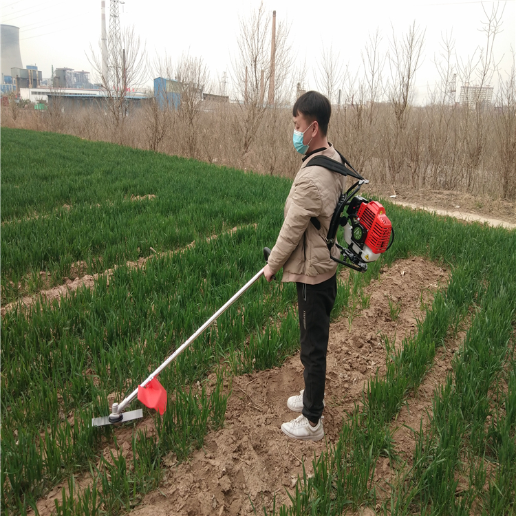 小型割草机农民种地新时代