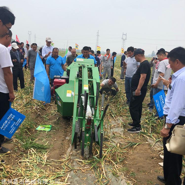 全自动大蒜联合收获机 去胡切根切茎收蒜机