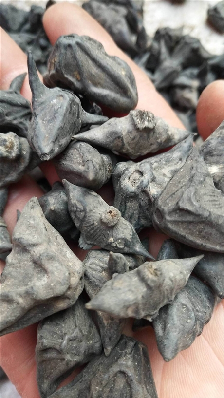广西三吨矿用装载机铝矿铲车源头厂家价格a