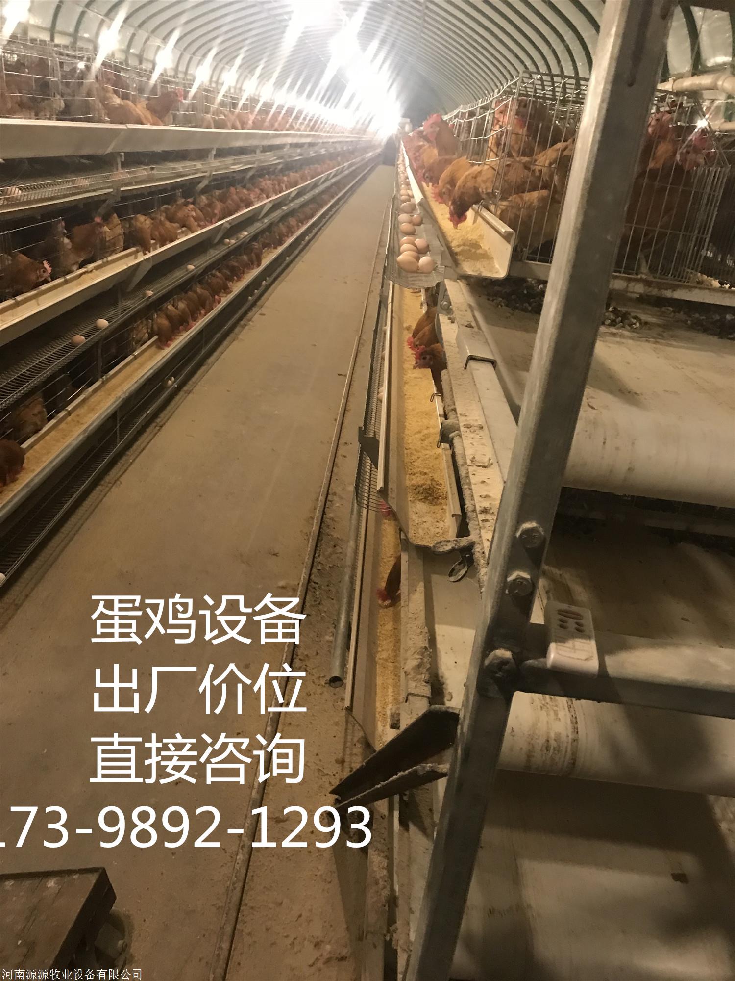 成都蛋鸡专用喂料上料机设备