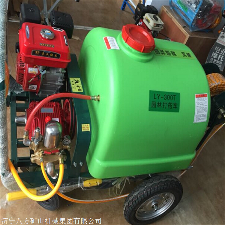 厂家直销打药机 农用高压泵手推式打药车