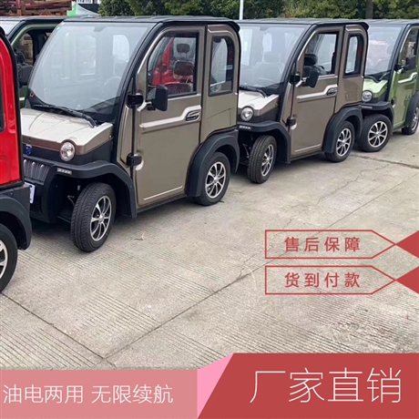 大洋四轮电动车小型家用电瓶车