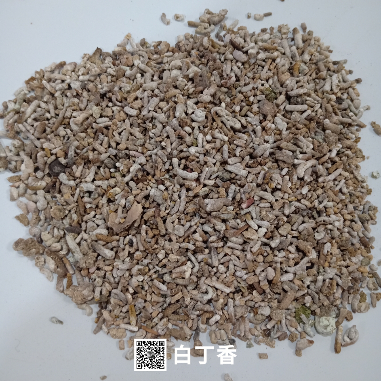 中药材白丁香白丁香今日报价