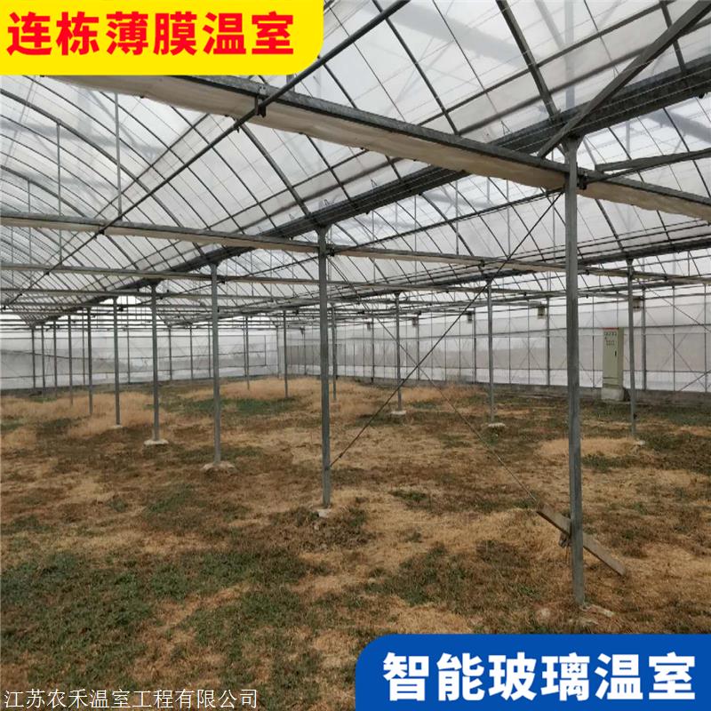 阳江阳东建设连栋大棚造价低 生态园外遮阳智能温室