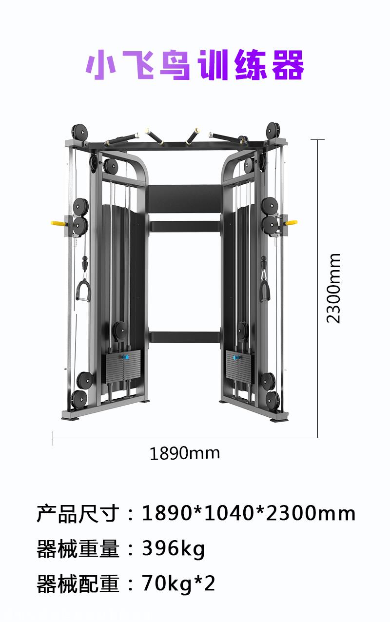 力康来必确多功能健身器材家用双臂机小飞鸟龙门架