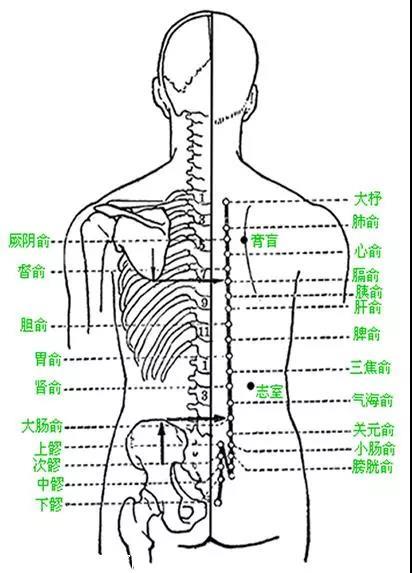 手把手教学-十大常见病的穴位按摩疗法