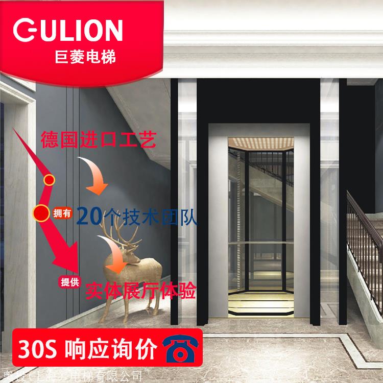 gulion/巨菱家用小电梯 全玻璃家用微型迷你电梯 250kg电梯