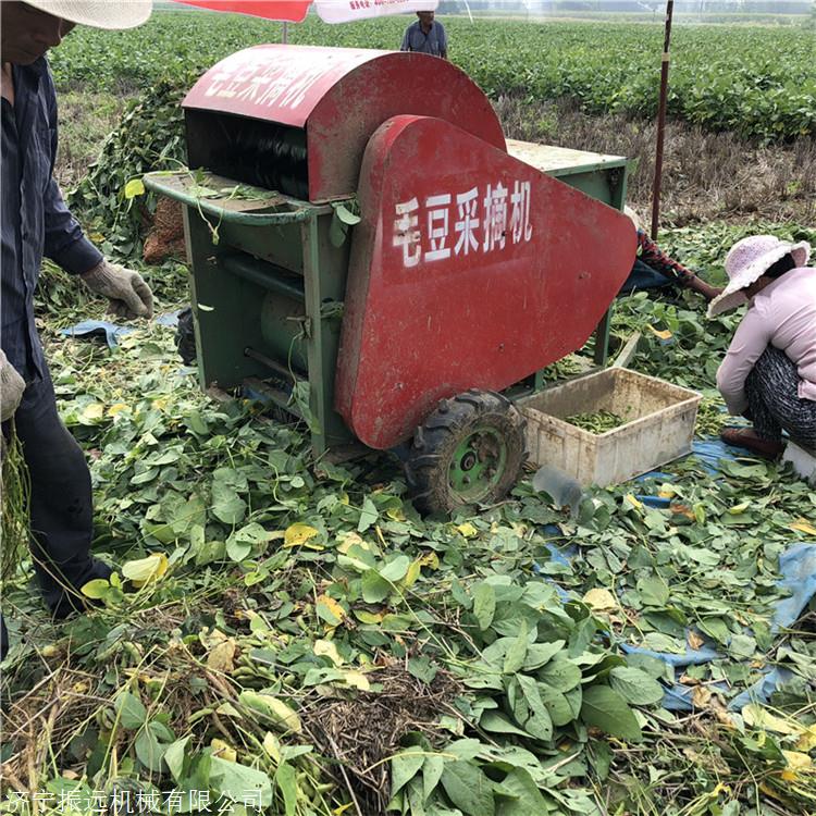 毛豆采摘机汽油动力毛豆采摘机直供厂家