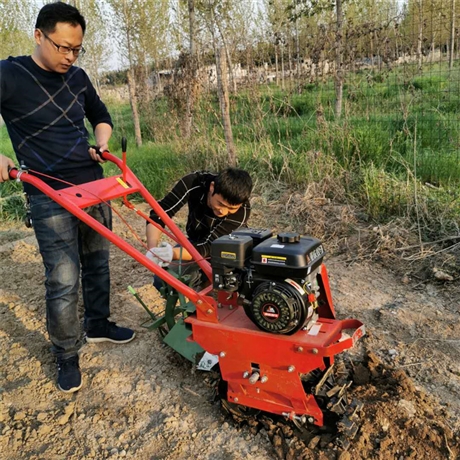 果园开沟耘锄开沟机大棚种植链轨翻地机柴油犁地机价格