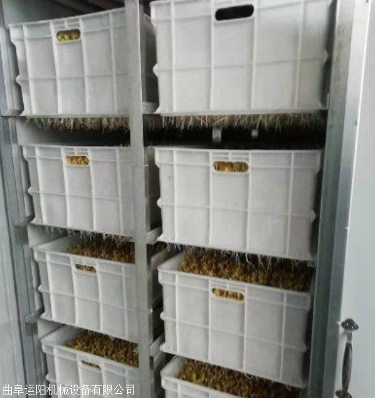 山东家用豆芽机 全自动小型豆芽机包技术