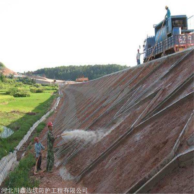 边坡客土喷播客土喷播图tbs高次团粒喷播