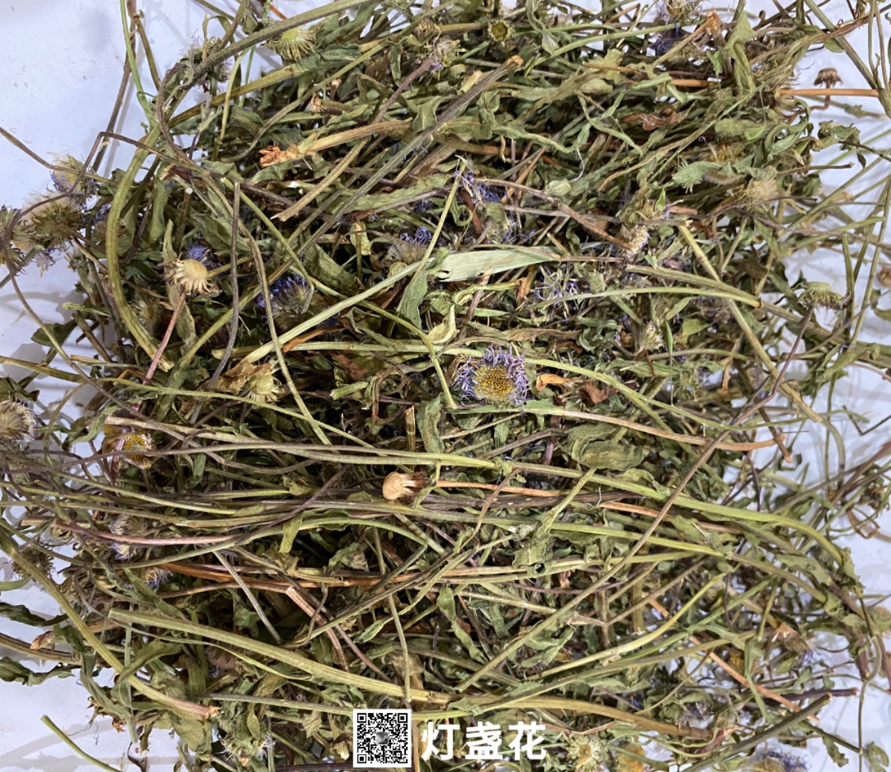 中药材灯盏花灯盏花的药用价值