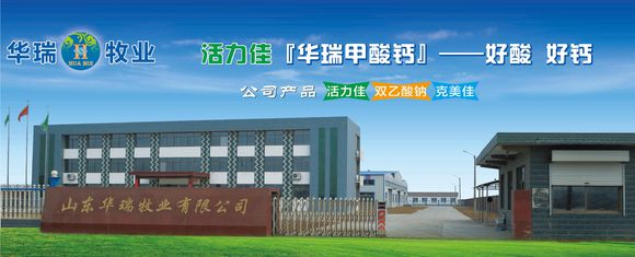 山东华瑞牧业防霉剂饲料级双乙酸钠