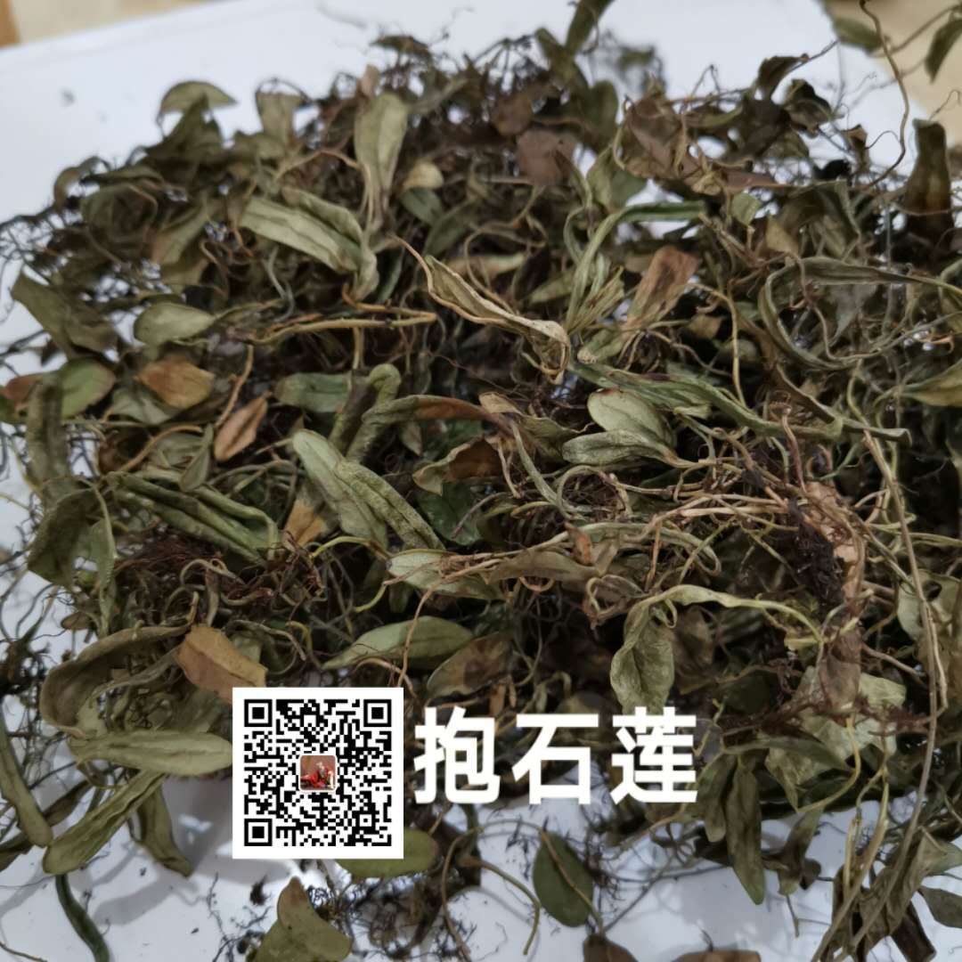 抱石莲价格抱石莲哪里买得到