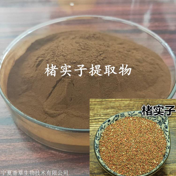 楮实子提取物301楮实子浓缩粉浸膏粉