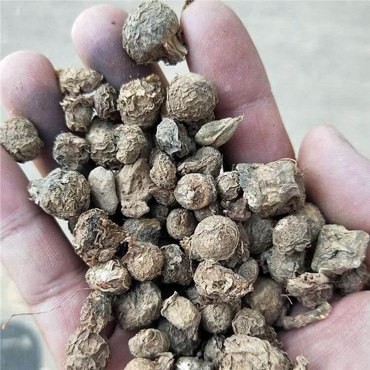 中药材批发雄黄/黄丹/硇砂/直销价格