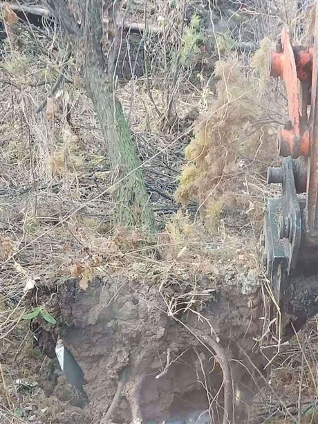 挖掘机挖树刀挖掘机挖树苗神器小挖机挖树刀片挖树根神器