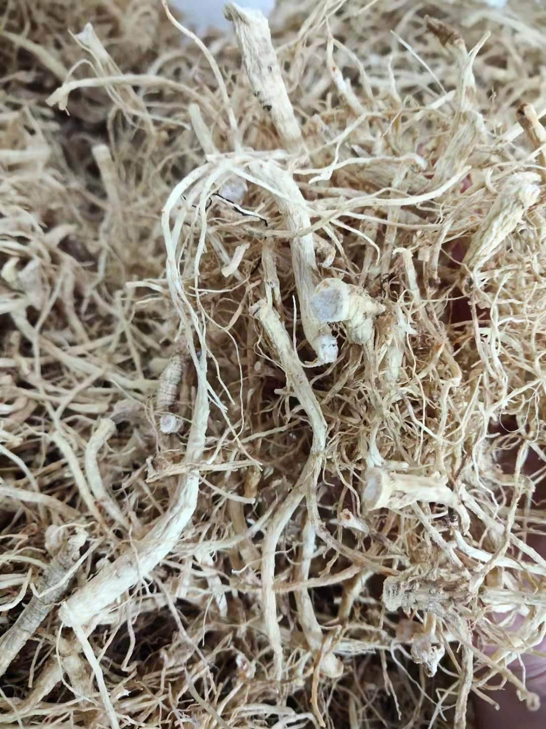 供应中药材人参须 人参须的功效