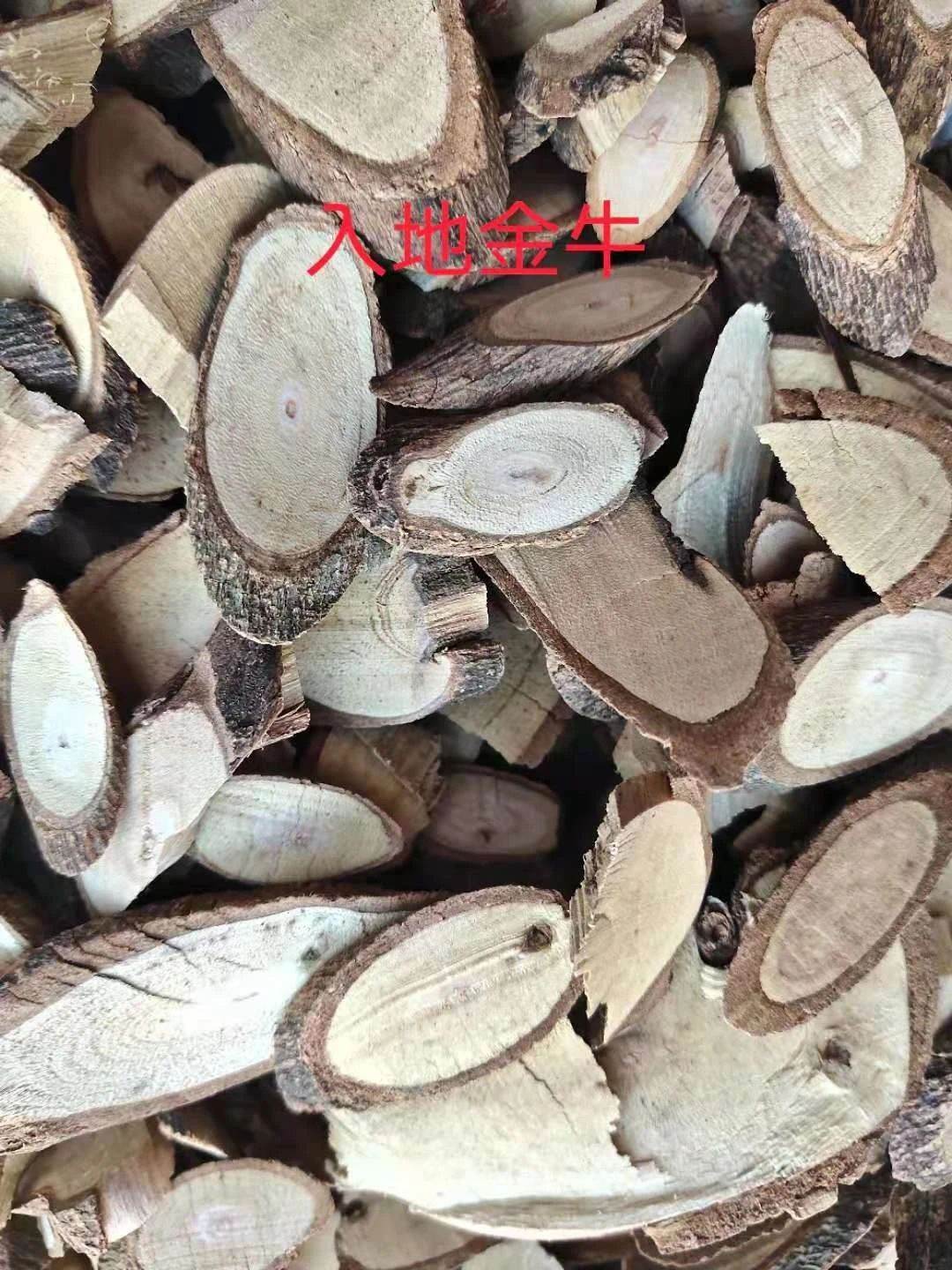 铁包金的功效与作用