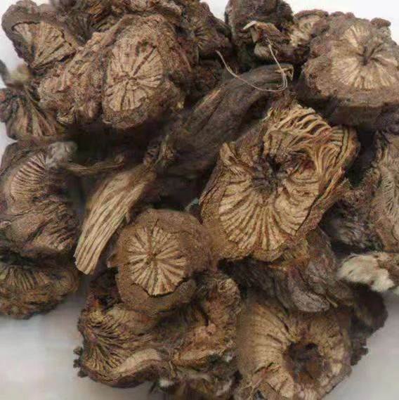 中药材批发漏芦