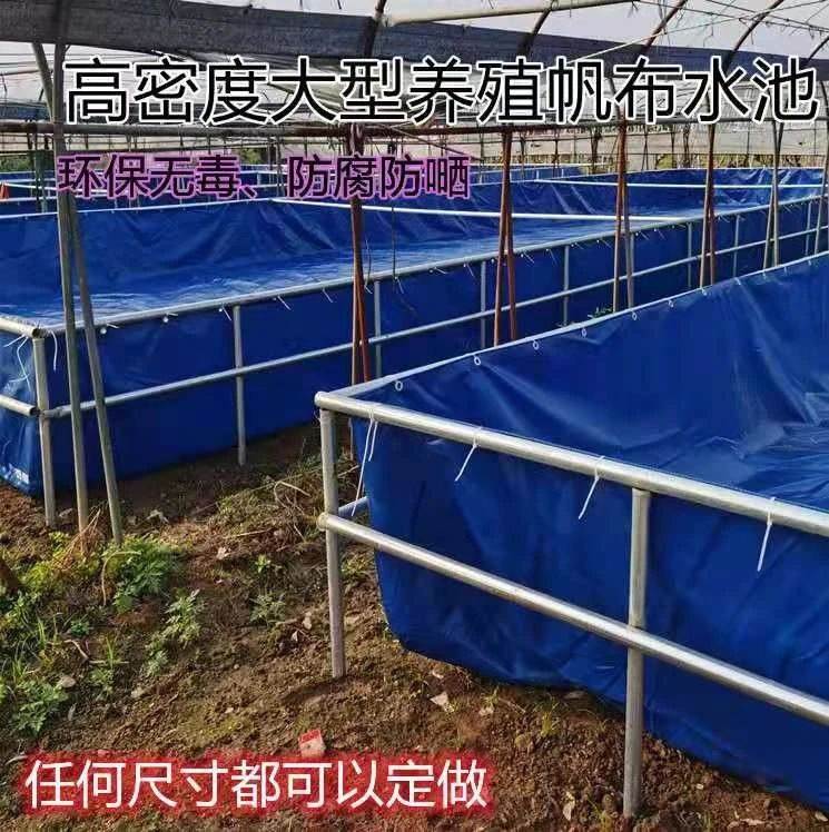 帆布池塑料鱼池牛蛙水蛭锦鲤养箱