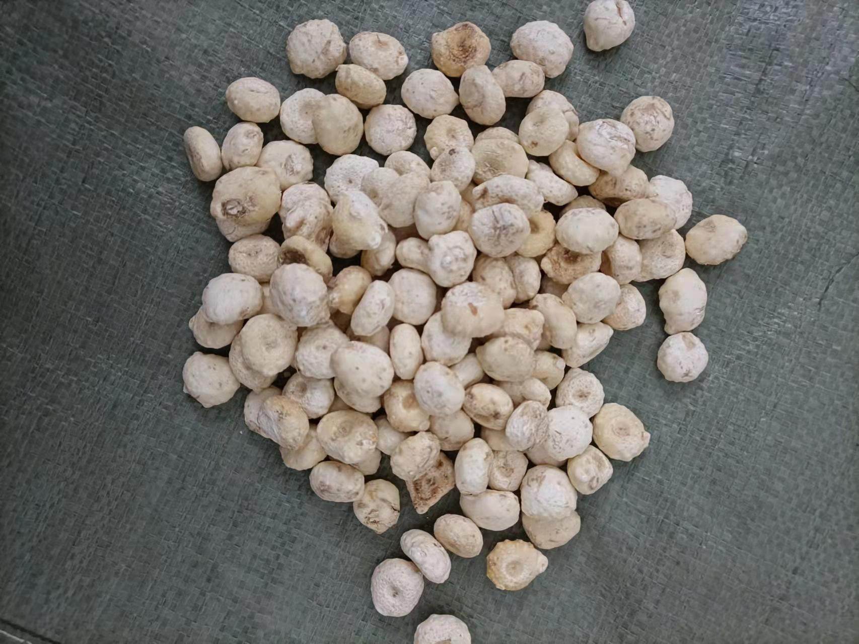 搜了网为您找到1条优质冰球子批发的相关产品信息