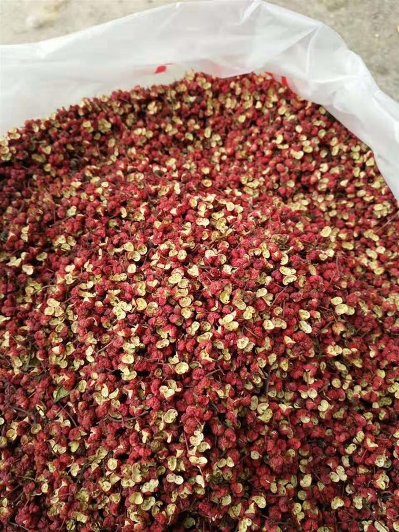 北京大红袍花椒产地直供 产地低价直销