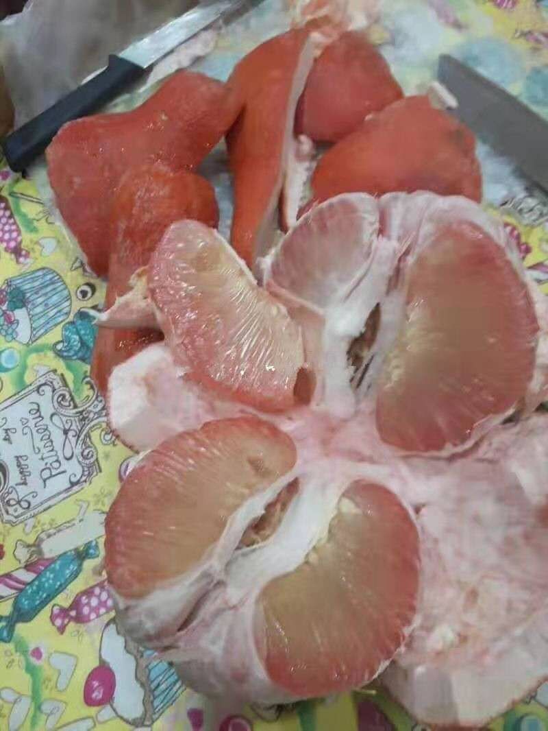 红柚苗泰国红皮红心柚子苗泰国三红柚子苗找这家就对了
