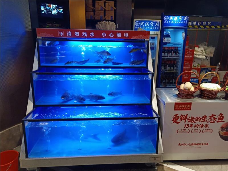 海鲜鱼缸维护及修理郴州简易鱼缸报价