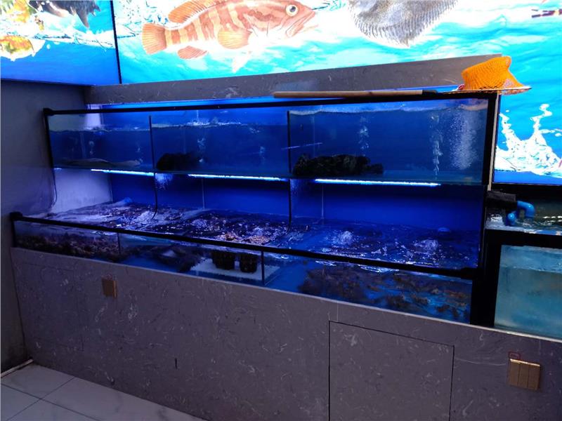 海鲜市场海鲜鱼缸订做宁乡成品玻璃鱼缸商家