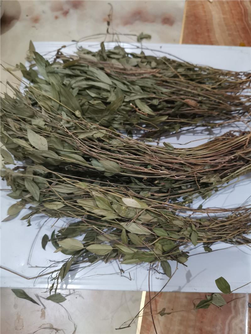 鬼羽箭,别名幼克草,克草,黑骨草,为科植物鬼羽箭buchnera cruciata