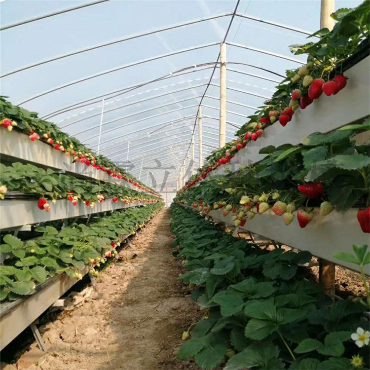 大棚草莓立体种植槽草莓立体栽培槽厂商