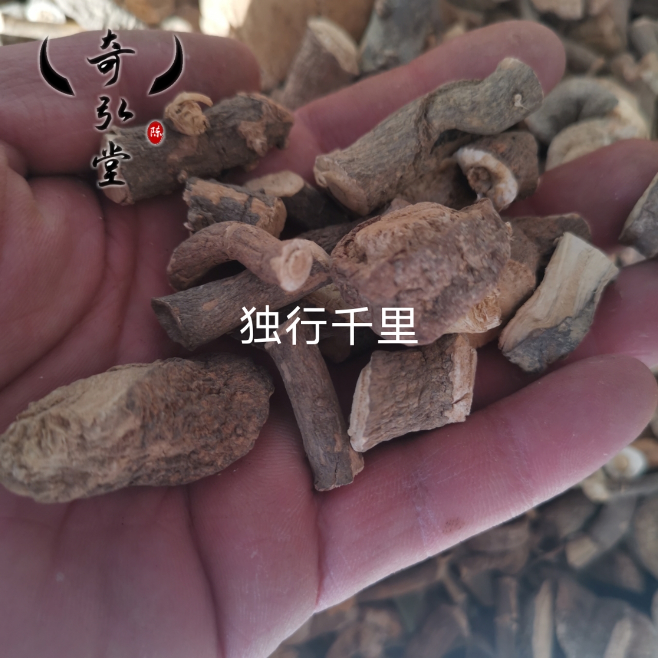 独行千里开封奇弘堂独行千里电话