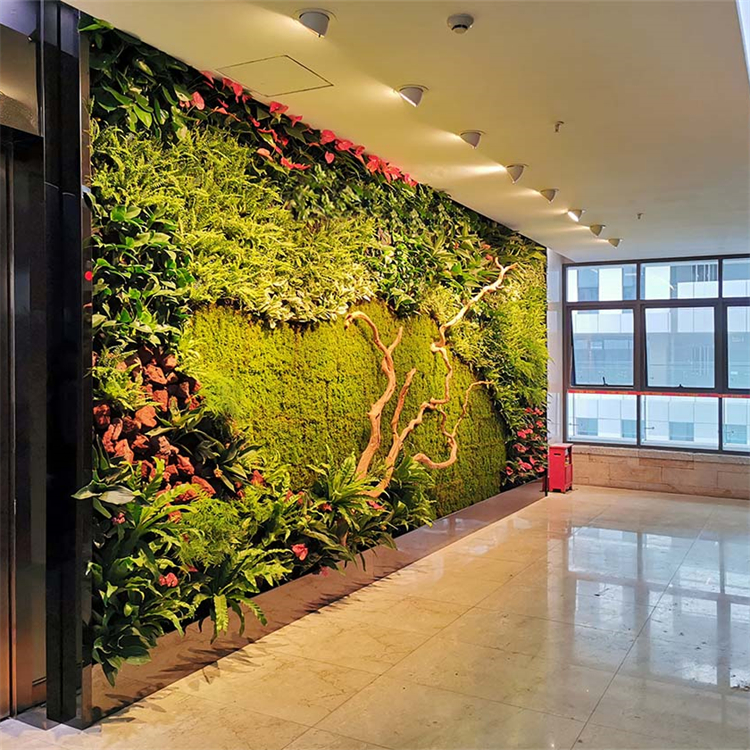 室内植物墙湛江植物墙垂直绿化