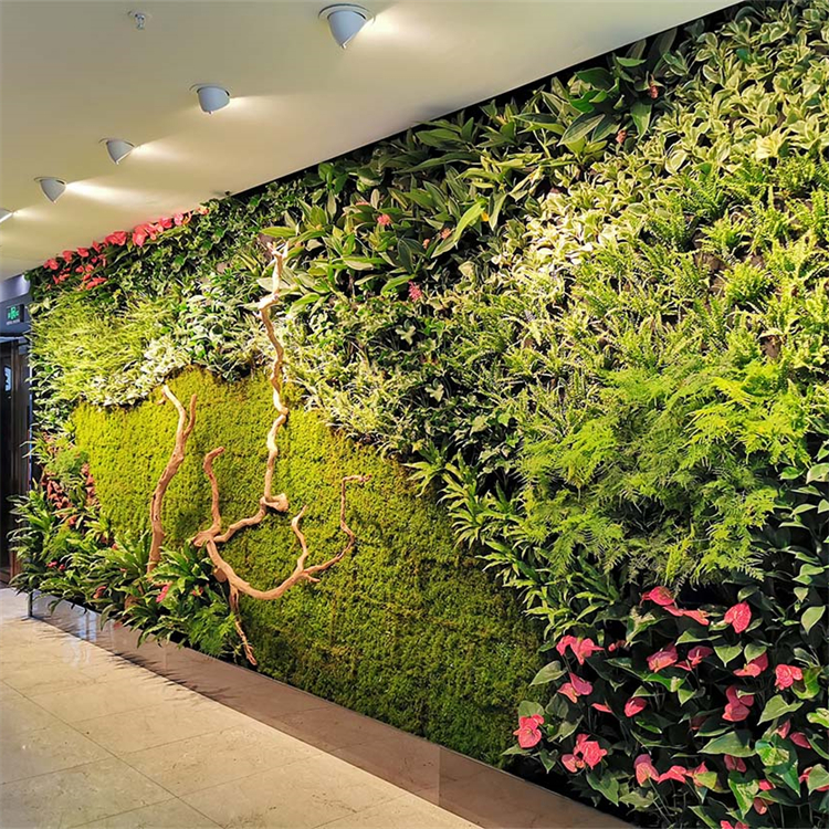长沙植物墙设计对绿化小区起到了良好的作用
