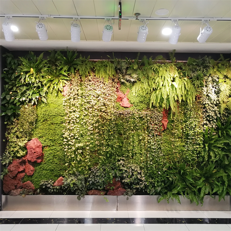 室外绿植墙 东莞生态植物墙